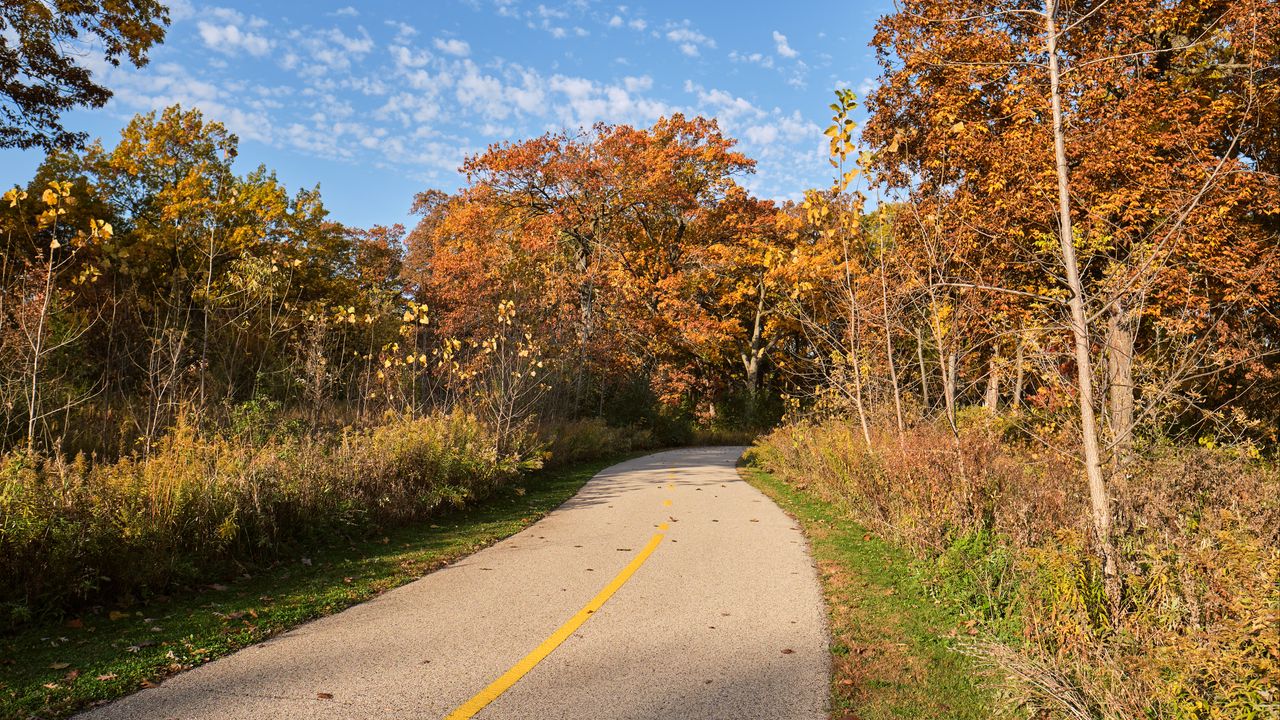 Обои дорога, поворот, осень, деревья, пейзаж