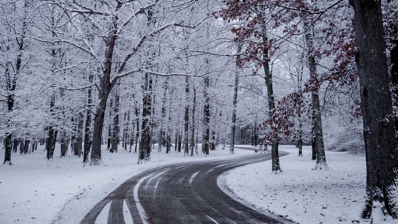 Обои дорога, поворот, снег, зима, деревья