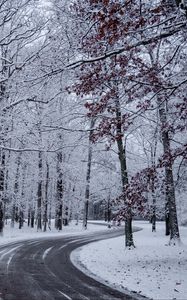Превью обои дорога, поворот, снег, зима, деревья