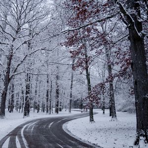 Превью обои дорога, поворот, снег, зима, деревья
