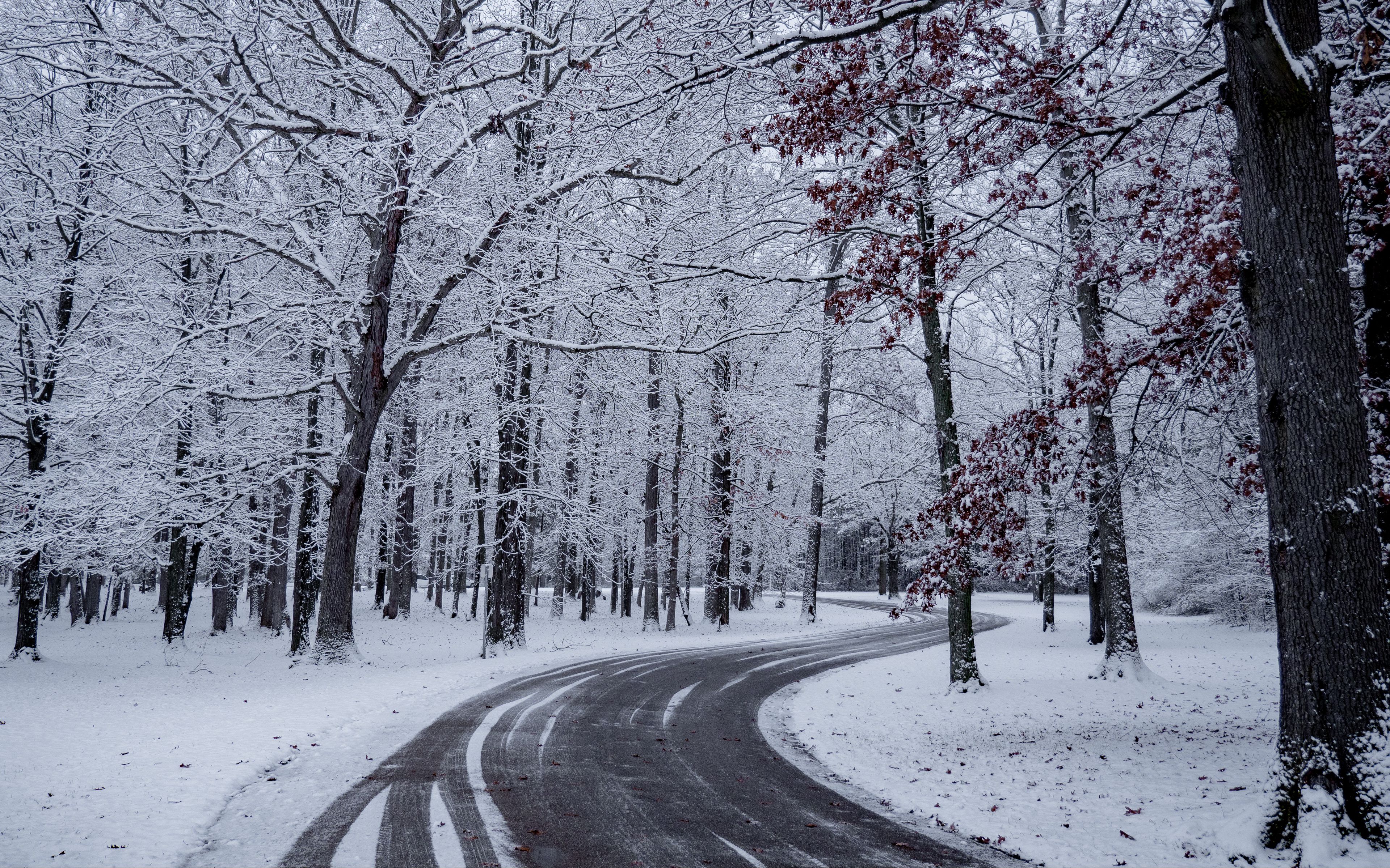Тема зимней дороги. Зимний лес. Зимняя дорога в лесу. Деревья в снегу. Снег фото.