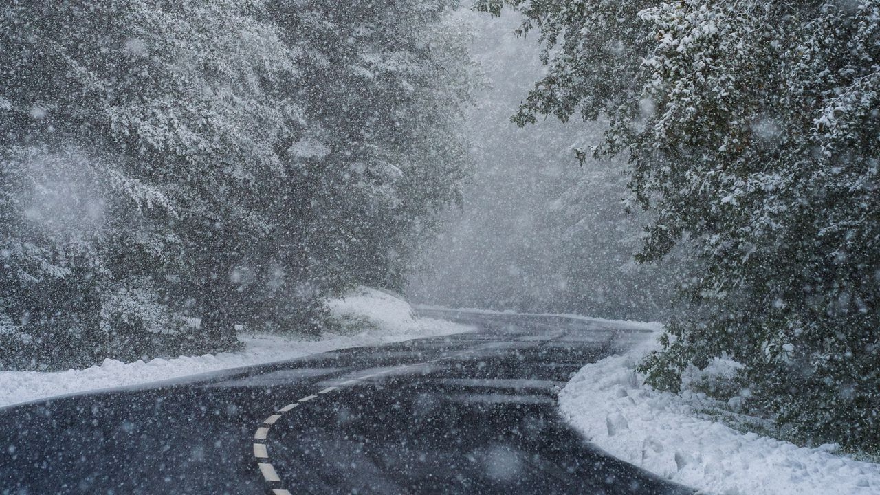 Обои дорога, поворот, снег, деревья, метель, зима