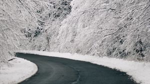 Превью обои дорога, поворот, снег, деревья, зима