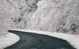 Превью обои дорога, поворот, снег, деревья, зима