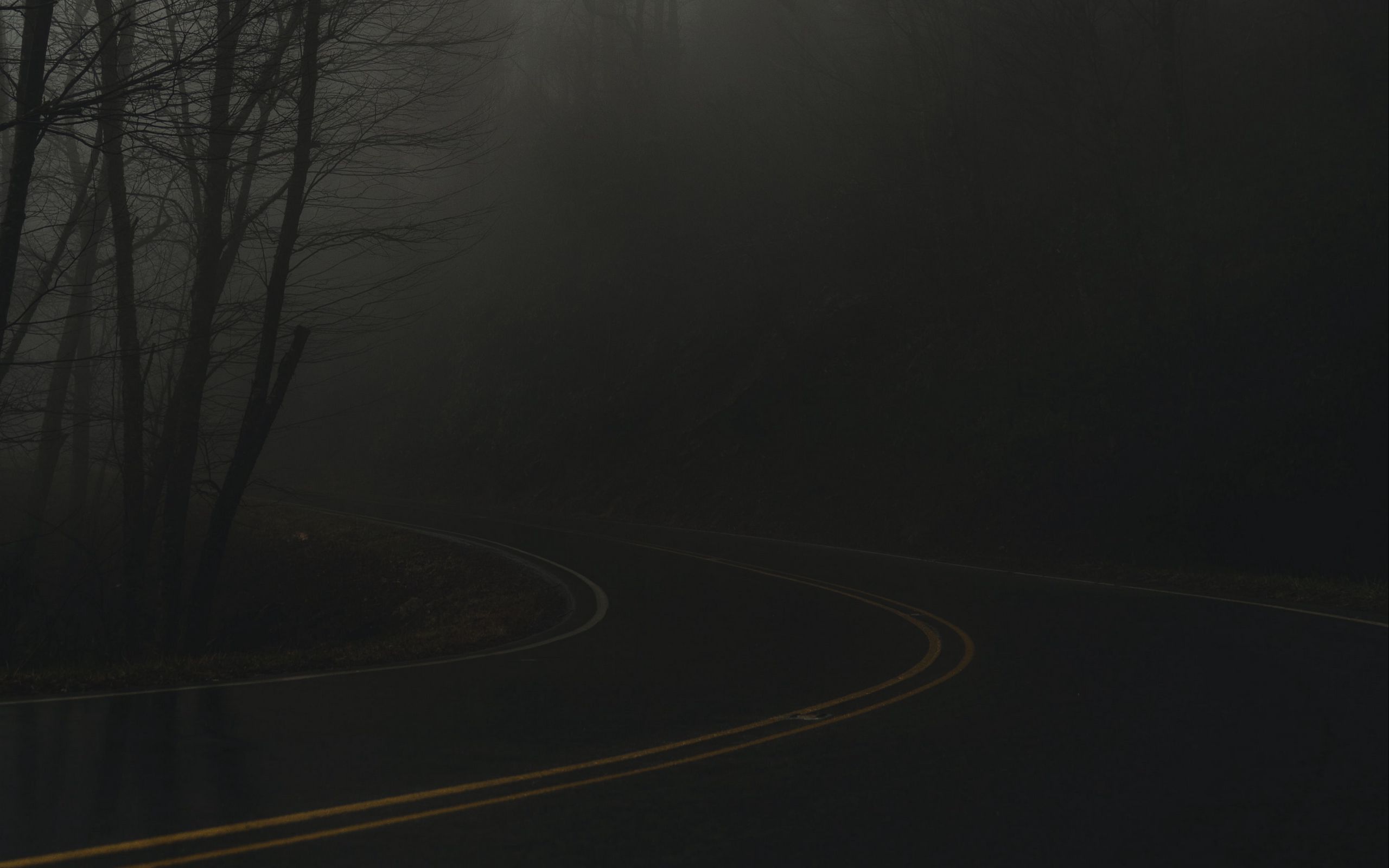 Редеет мгла ненастной ночи. Дорога туман поворот. Туман на дороге ночью. Фог дорога поворот.