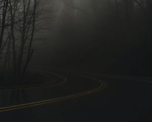 Превью обои дорога, поворот, туман, мгла, сумерки
