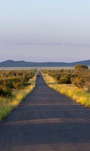 Превью обои дорога, природа, деревья, холмы, небо