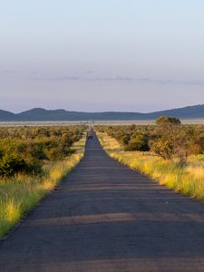 Превью обои дорога, природа, деревья, холмы, небо