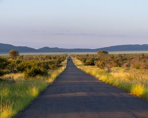 Превью обои дорога, природа, деревья, холмы, небо