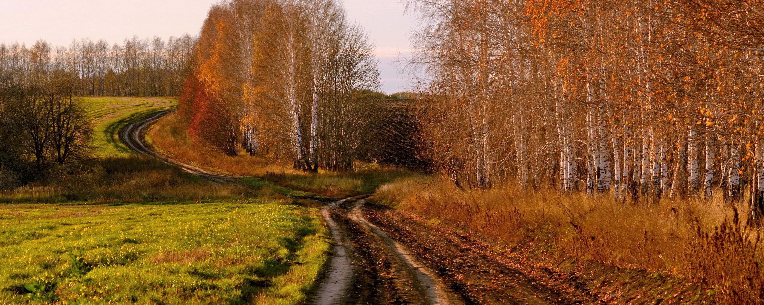 Нивы сжаты рощи слушать. О Красном вечере задумалась дорога Есенин. С.Есенина "о Красном вечере задумалась дорога...". Есенин и природа фото. Унылая природа фото.