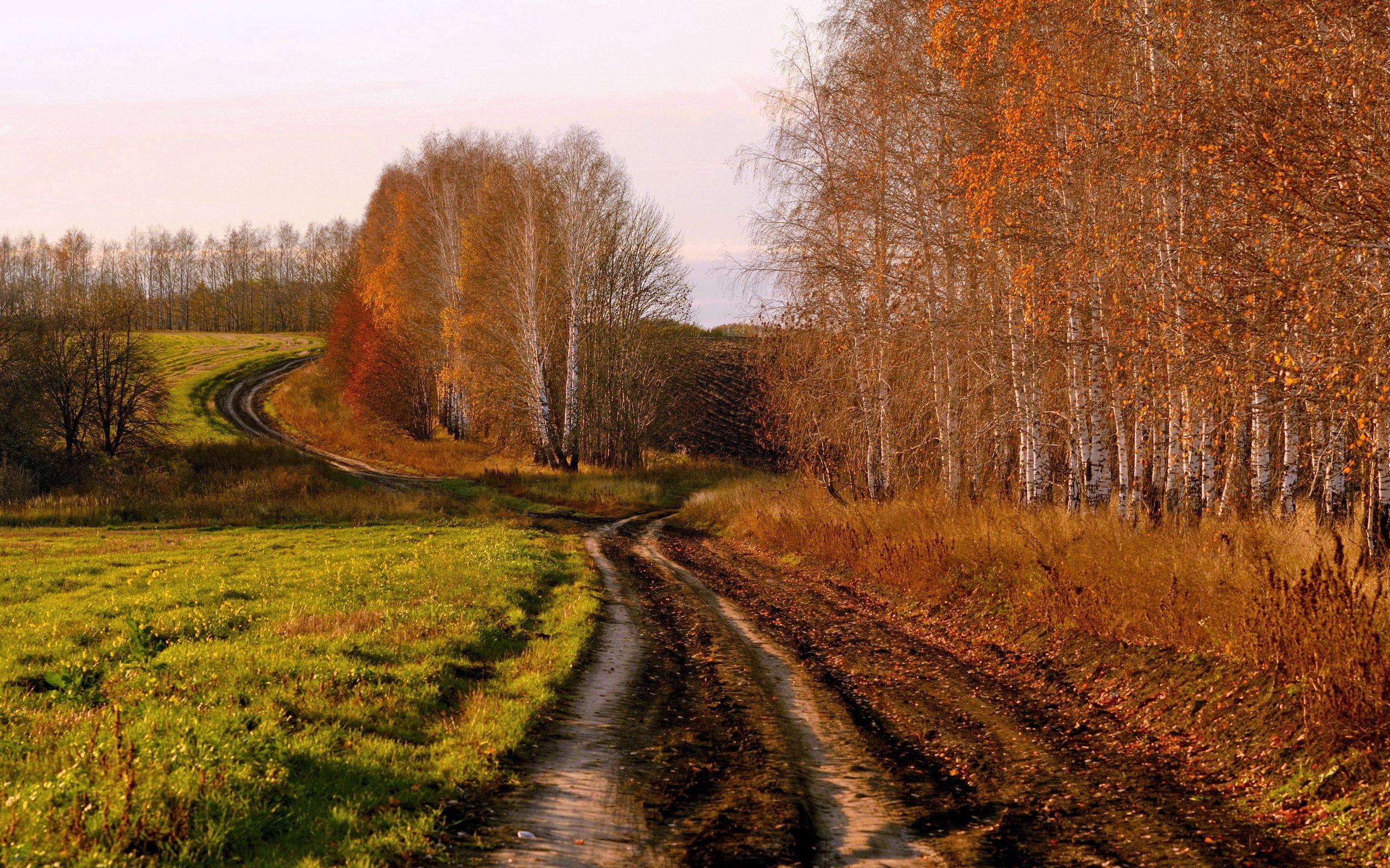 Осень в россии картинка