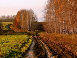 Превью обои дорога, проселочная, березы, осень, россия, поля