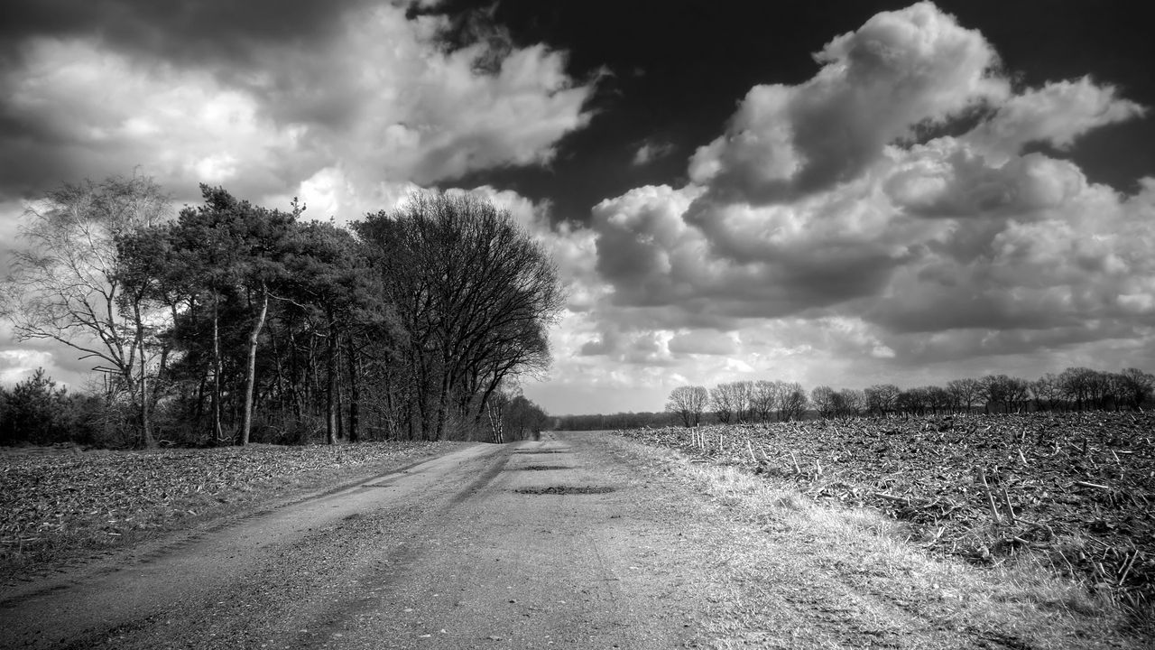 Обои дорога, проселочная, черно-белые, деревья, облака, объемные