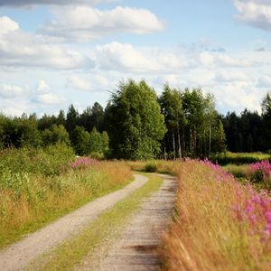 Превью обои дорога, проселочная, деревья, цветы, обочина, небо, облака