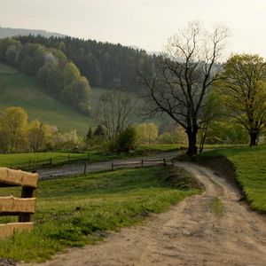 Превью обои дорога, проселочная, поле, поворот, забор, лето