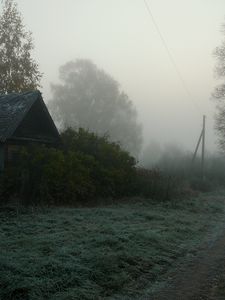 Превью обои дорога, проселочная, туман, деревья, мгла, дом, мрачные