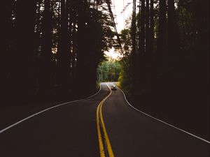 Превью обои дорога, разметка, авто, лес, деревья, вечер