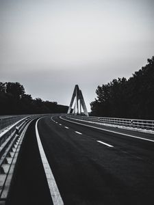 Превью обои дорога, разметка, чб, деревья