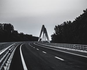 Превью обои дорога, разметка, чб, деревья