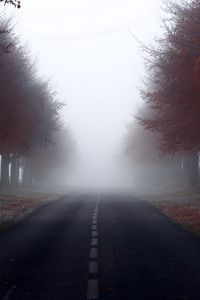 Превью обои дорога, разметка, деревья, туман