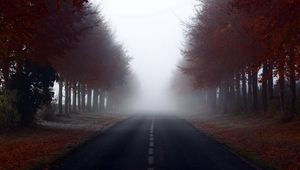 Превью обои дорога, разметка, деревья, туман