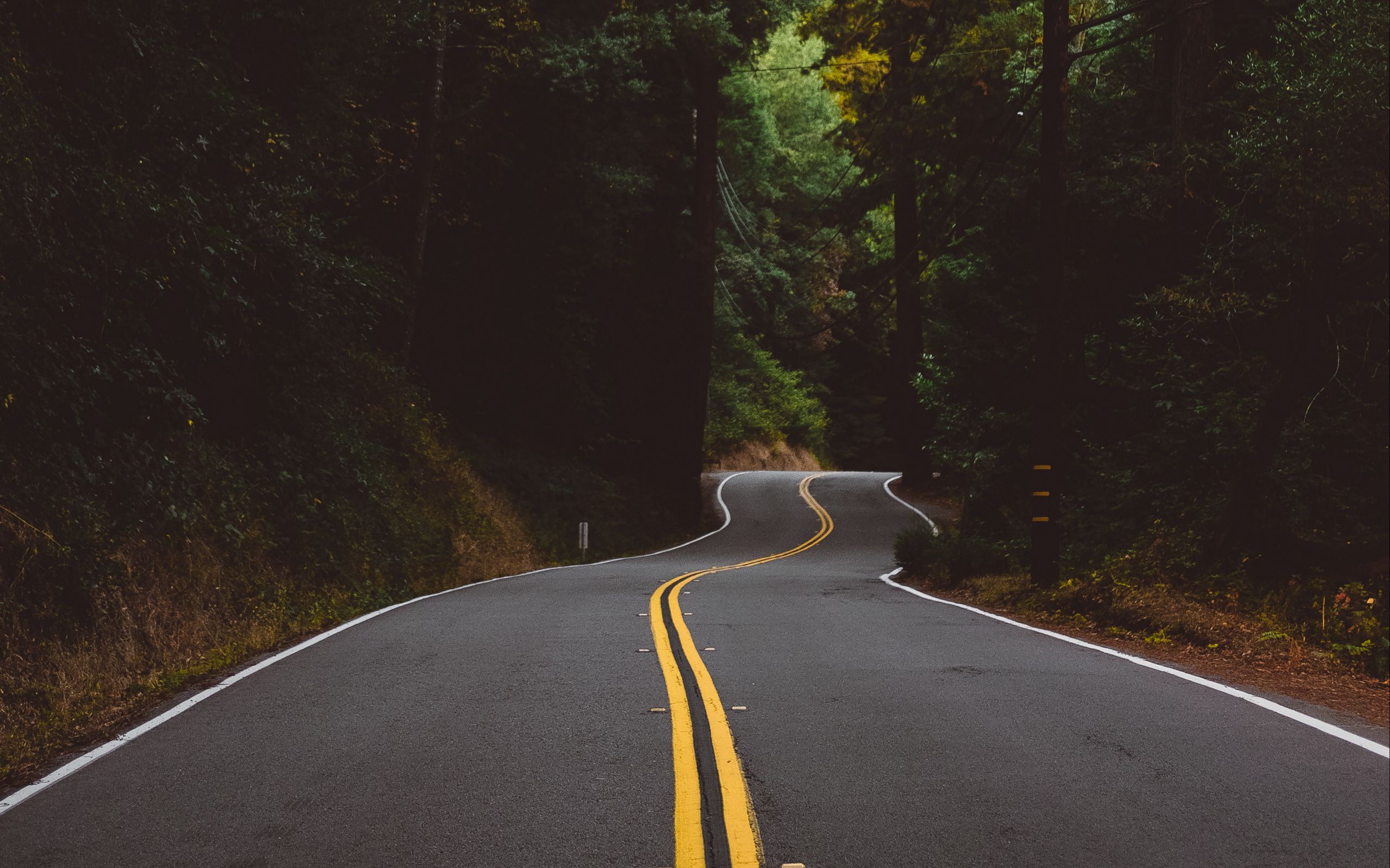 Дорога изображена в виде. Жёлтая разметка на дороге. Дорога с желтой полосой. Дорога в лесу. Фон дорога.
