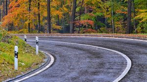 Превью обои дорога, разметка, деревья, осень