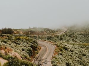 Превью обои дорога, разметка, извилистый, туман, трава