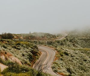 Превью обои дорога, разметка, извилистый, туман, трава