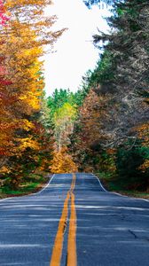 Превью обои дорога, разметка, лес, деревья, осень, природа, пейзаж
