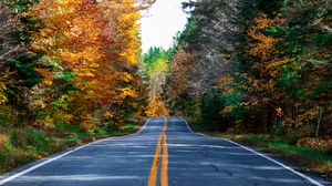 Превью обои дорога, разметка, лес, деревья, осень, природа, пейзаж