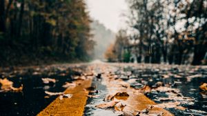 Превью обои дорога, разметка, листья, осень, мокрый