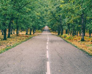 Превью обои дорога, разметка, осень, деревья