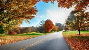 Превью обои дорога, разметка, осень, деревья