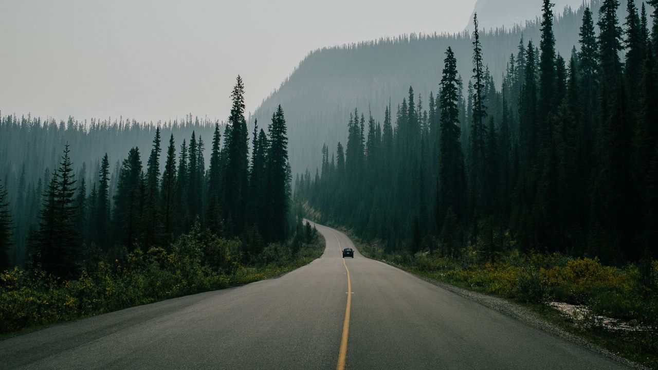 Обои дорога, разметка, туман, горы, движение