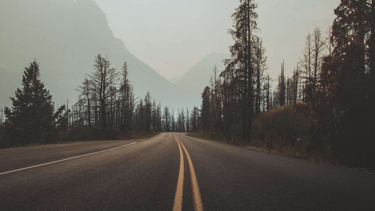 Обои дорога, разметка, туман, деревья, небо, поворот
