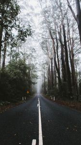 Превью обои дорога, разметка, туман, деревья