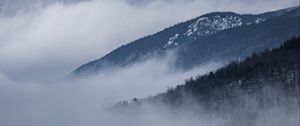 Превью обои дорога, разметка, туман, холмы, деревья