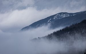 Превью обои дорога, разметка, туман, холмы, деревья