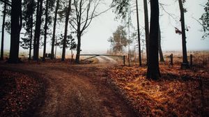 Превью обои дорога, шлагбаум, деревья, туман, природа