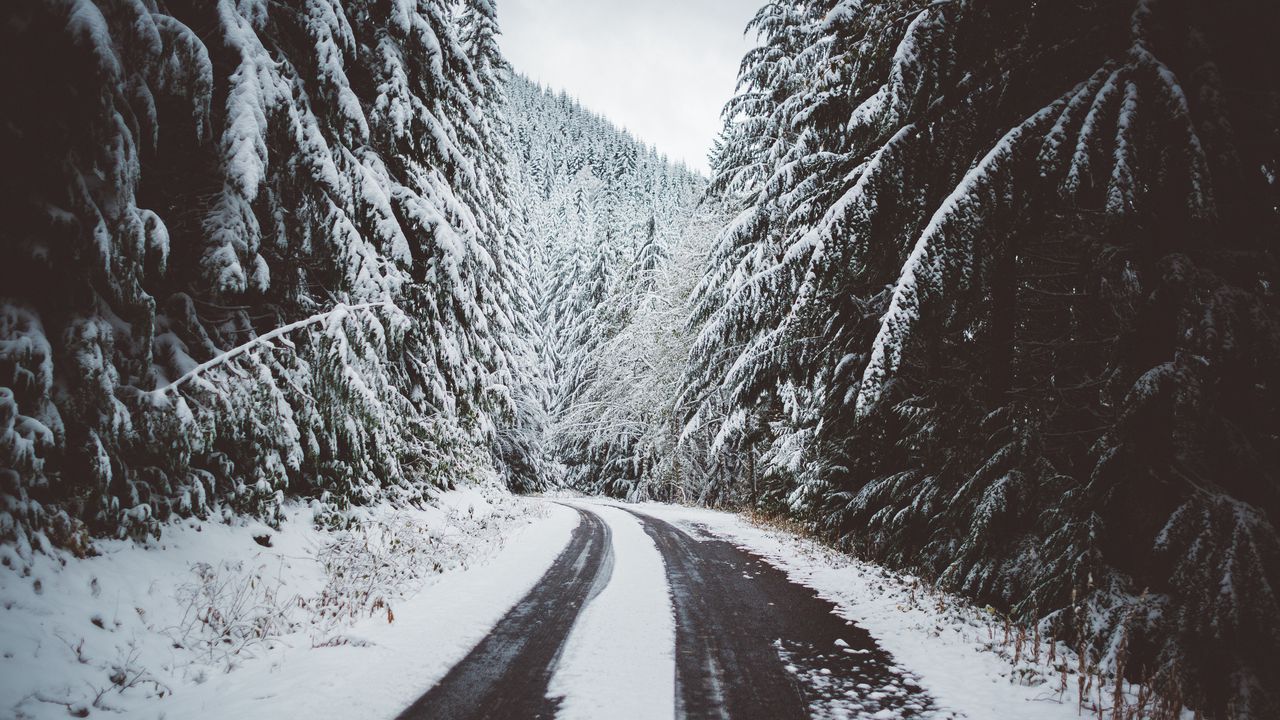 Обои дорога, снег, деревья, зима