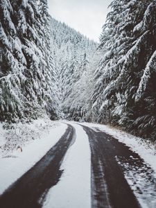 Превью обои дорога, снег, деревья, зима