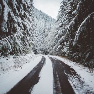 Превью обои дорога, снег, деревья, зима
