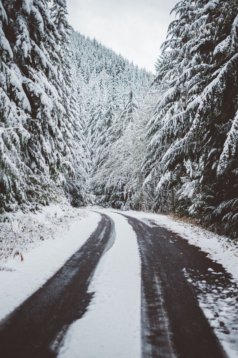 Скачать 800x1200 дорога, снег, деревья, зима обои, картинки iphone 4s/4 for  parallax