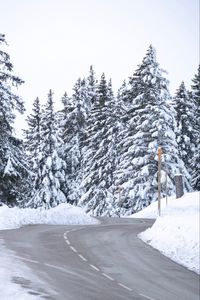Превью обои дорога, снег, деревья, елки, зима