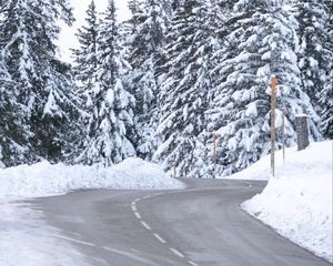 Превью обои дорога, снег, деревья, елки, зима