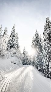 Превью обои дорога, снег, деревья, зима, заснеженный