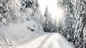 Превью обои дорога, снег, деревья, зима, заснеженный