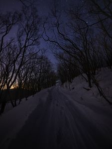 Превью обои дорога, снег, деревья, ночь, зима