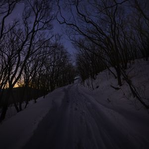 Превью обои дорога, снег, деревья, ночь, зима